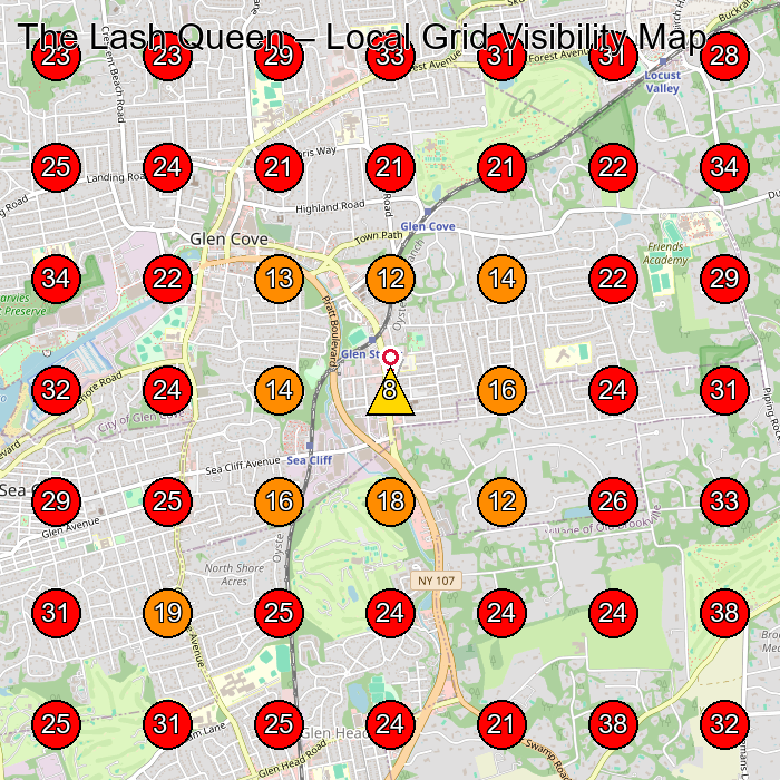The Lash Queen GeoGrid visibility map for Eyelash Salon in Larchmont